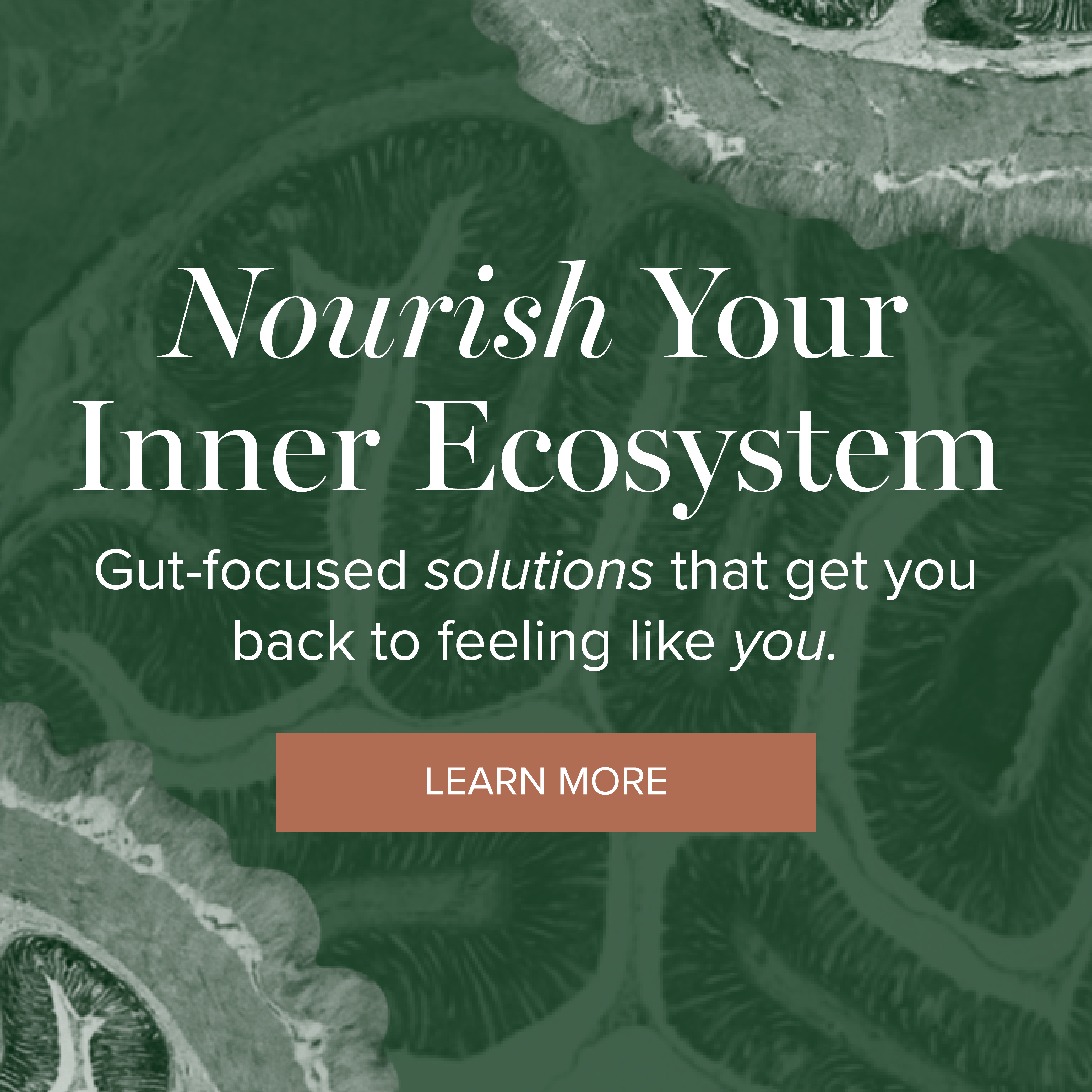 Restore Your Gut Microbiome