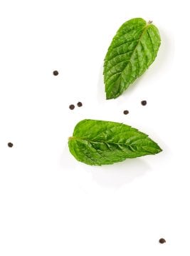 mint leaves