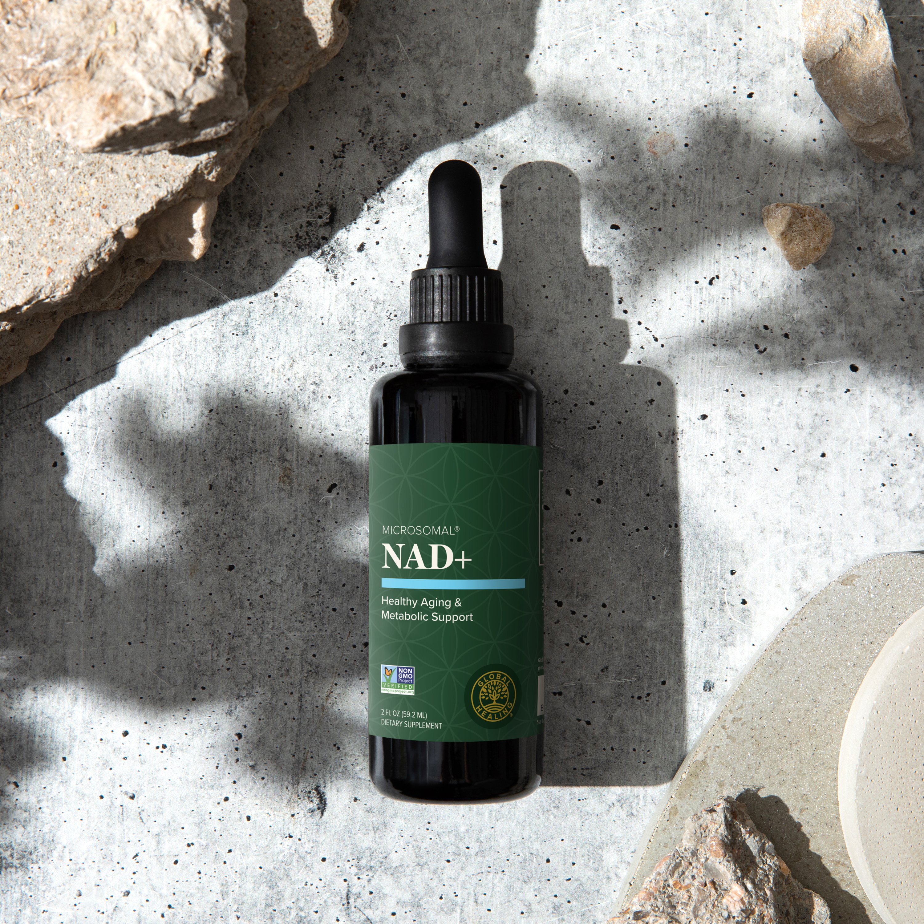 
                  Longevity & Cellular Health
                