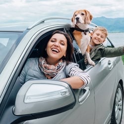 a couple driving with their dogs