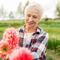 A senior woman handling pink flowers in a field.