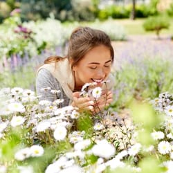 Someone smelling fresh flowers