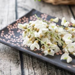 A dish of fresh flower petals