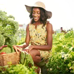 Someone gardening
